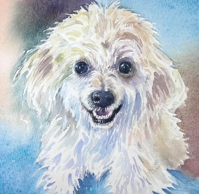 A watercolour painting by Scott Pleydell-Pearce of a small white fluffy dog, the dog looks like he is smiling.